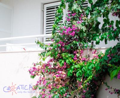 Apartment Iris 3 (Holiday Rentals Croatia  Dalmatian islands / Hvar)