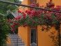 Studio apartman San Marko (Holiday Rentals Croatia  > Rijeka and Kvarner > Lovran)