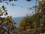 Appartement St. Jakov (Ferienwohnungen Kroatien  > Riviera von Dubrovnik > Dubrovnik)