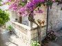 Apartment Fabri 1