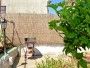 Apartment Aurelija 3